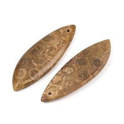 Natural Fossil Coral Pendants&nbsp;G-B187-01C-06