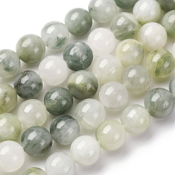 Natural Gemstone Beads Strands&nbsp;G-F808-C02-12mm