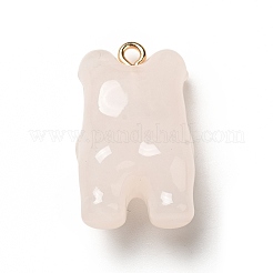 Cartoon Opaque Resin Pendants&nbsp;LS-FIND-I029-01E