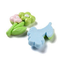 Opaque Resin Cabochons&nbsp;CRES-M029-03