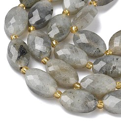 Natural Labradorite Beads Strands&nbsp;G-A295-A01-01