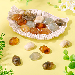 20Pcs 5 Colors Opaque Resin Cabochons&nbsp;RESI-TA0004-31