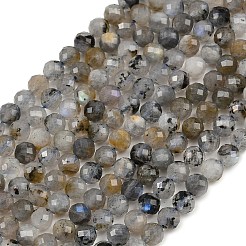 Natural Labradorite Beads Strands&nbsp;G-G281-B03-6mm