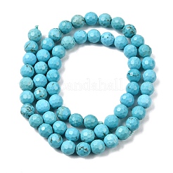 Natural Magnesite Beads Strands&nbsp;G-P598-E-6mm-05