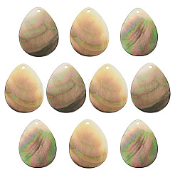10Pcs Natural Black Lip Shell Pendants&nbsp;SHEL-TA0001-21