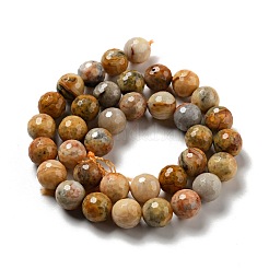 Natural Crazy Lace Agate Beads Strands&nbsp;G-E571-36C