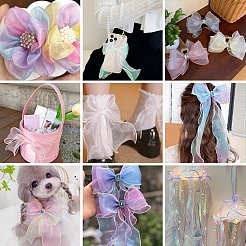 Polyester Organza Ribbon&nbsp;SRIB-FZC0001-001D