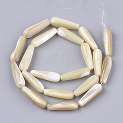 Natural Trochid Shell/Trochus Shell Beads Strands&nbsp;SSHEL-N032-02