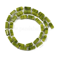 Handmade Lampwork Beads Strands&nbsp;LAMP-Q037-01B-03