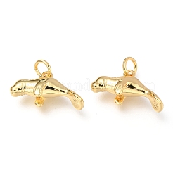 Brass Pendants&nbsp;KK-Z014-01G