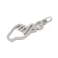 304 Stainless Steel Pendants&nbsp;STAS-R135-09P