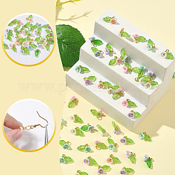 20 Sets Resin Imitation Pearl Charms&nbsp;FIND-SC0016-68