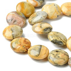 Flat Round Natural Crazy Lace Agate Beads Strands&nbsp;G-S110-05