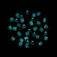 FGB Grade A Frosted Glass Seed Beads&nbsp;SEED-Q040-04A-06