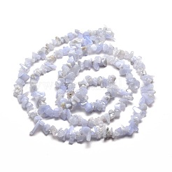 Natural Blue Lace Agate Chip Bead Strands&nbsp;X-G-M205-50