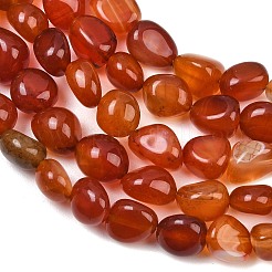 Natural Carnelian Beads Strands&nbsp;GG-CBA787B-A40