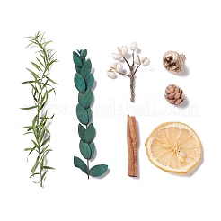 Dried Flowers&nbsp;DIY-D052-08