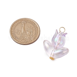 6Pcs Acrylic Beads Pendants&nbsp;PALLOY-JF03023