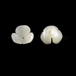 Flower Natural Trochid Shell/Trochus Shell Beads&nbsp;SSHEL-F290-05B-A
