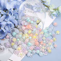 24 Style Transparent Acrylic Beads&nbsp;TACR-CA0001-23