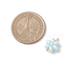 Acrylic Connector Charms&nbsp;PALLOY-JF04338-01
