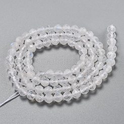 Natural Rainbow Moonstone Beads Strands&nbsp;G-H266-13