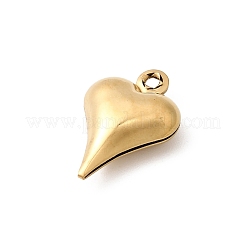 304 Stainless Steel Pendants&nbsp;STAS-G389-02G-04