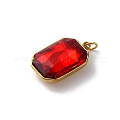 316 Stainless Steel Faceted Glass Pendants&nbsp;STAS-K258-48G