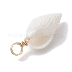 Natural Trumpet Shell Pendants&nbsp;PALLOY-JF02682-01