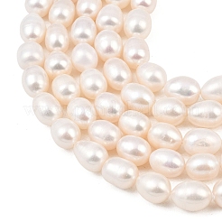 Natural Cultured Freshwater Pearl Beads Strands&nbsp;PEAR-F020-22A