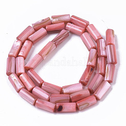 Natural Freshwater Shell Beads&nbsp;SHEL-R047-01D