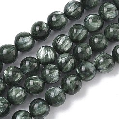 Natural Seraphinite Beads Strands&nbsp;G-C270-O01-07