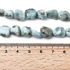 Natural Larimar Beads Strands&nbsp;G-B161-B10