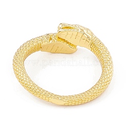 Rack Plating Brass Double Snake Open Cuff Ring for Women&nbsp;RJEW-I083-19G