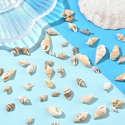 90G 2 Styles Natural Spiral Shell Beads&nbsp;SSHEL-YW0001-09