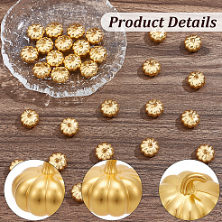 30Pcs Zinc Alloy Display Decorations&nbsp;DJEW-SP0001-65