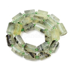 Natural Prehnite Beads Strands&nbsp;G-G453-E03-10x14mm
