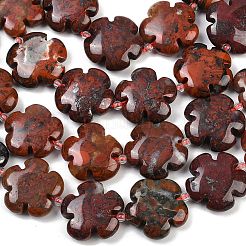 Natural Brecciated Jasper Beads Strands&nbsp;G-C220-E02-20mm