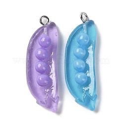 Transparent Resin Pendants&nbsp;RESI-D071-02
