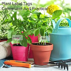 1 Set Acrylic Plant Labels&nbsp;AJEW-CA0004-57A