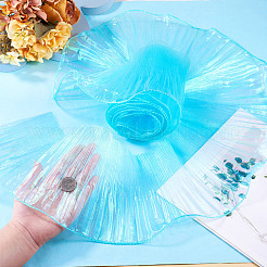 5 Yards Polyester Ruffled Ribbon&nbsp;OCOR-TA0004-06E