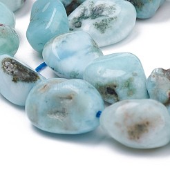 Natural Larimar Beads Strands&nbsp;G-L493-37