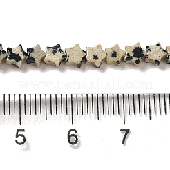 Natural Dalmatian Jasper Beads Strands&nbsp;G-G085-B13-01