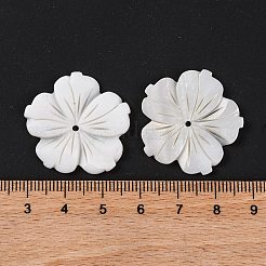 Natural Freshwater Shell Carved Beads&nbsp;BSHE-S304-16