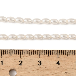 Electroplated Shell Pearl Beads Strands&nbsp;BSHE-Z009-10C