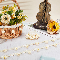 Polyester Lace Trim&nbsp;OCOR-WH0067-60A