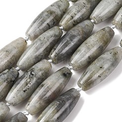 Natural Labradorite Beads Strands&nbsp;G-L654-G12-01