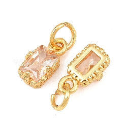 Brass Pave Cubic Zirconia Charms&nbsp;KK-K340-50G-06