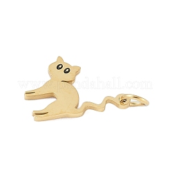 304 Stainless Steel Charms&nbsp;LS-STAS-S177-05G-A