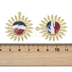304 Stainless Steel Enamel Pendants&nbsp;STAS-L290-20B-G